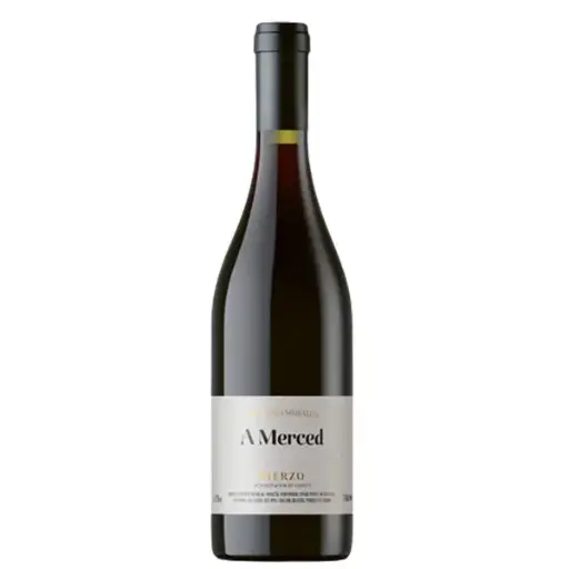 Michelini i Muffato - A Merced 2019